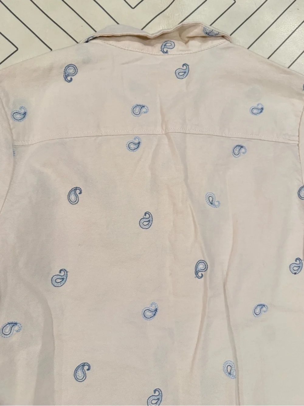 Gingersnaps Cream Short Sleeve Button Down